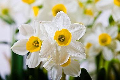 《十三机兵防卫圈》发售三年 销量突破80万